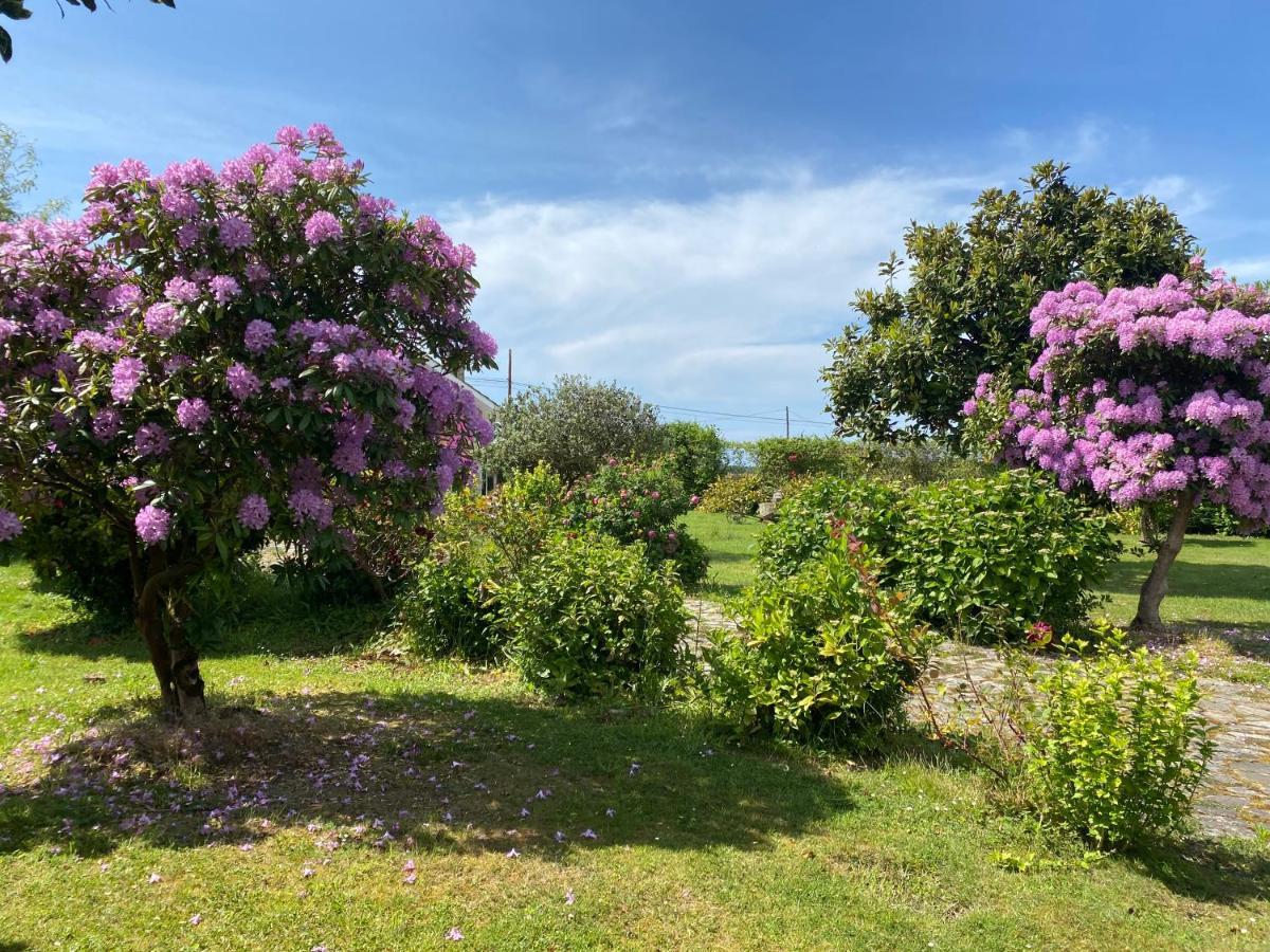Casa Quintana Villa Salamir Kültér fotó